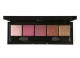 GRIGI PRO PALETTE No 503 METALLIC & SHIMMER EYESHADOW PALETTE 5 COLOURS FUCHSIA & GOLD